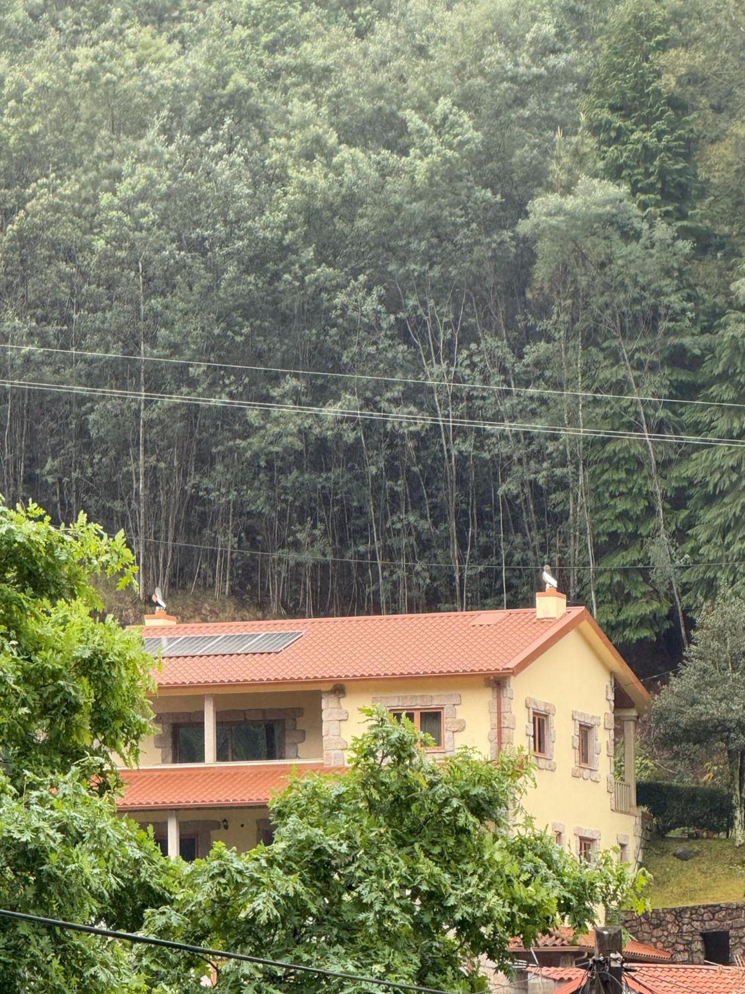 Hotel Casa do Pedrógo Geres Zewnętrze zdjęcie